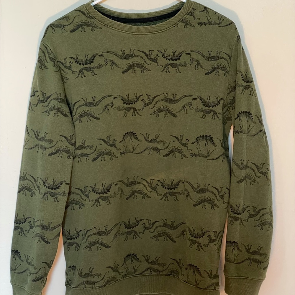 Fun Dino print pullover